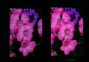 img_2712 HTC vs Samsung